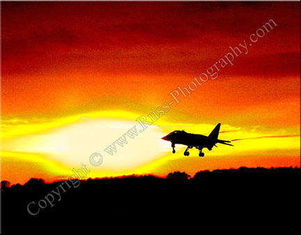 Jaguar Sunset