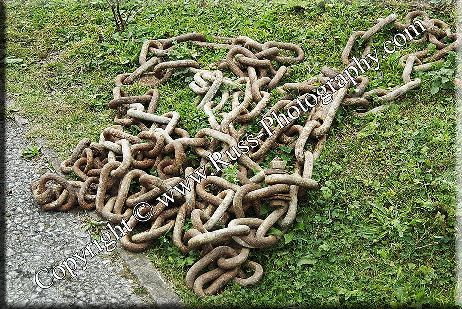 Decorative Photography