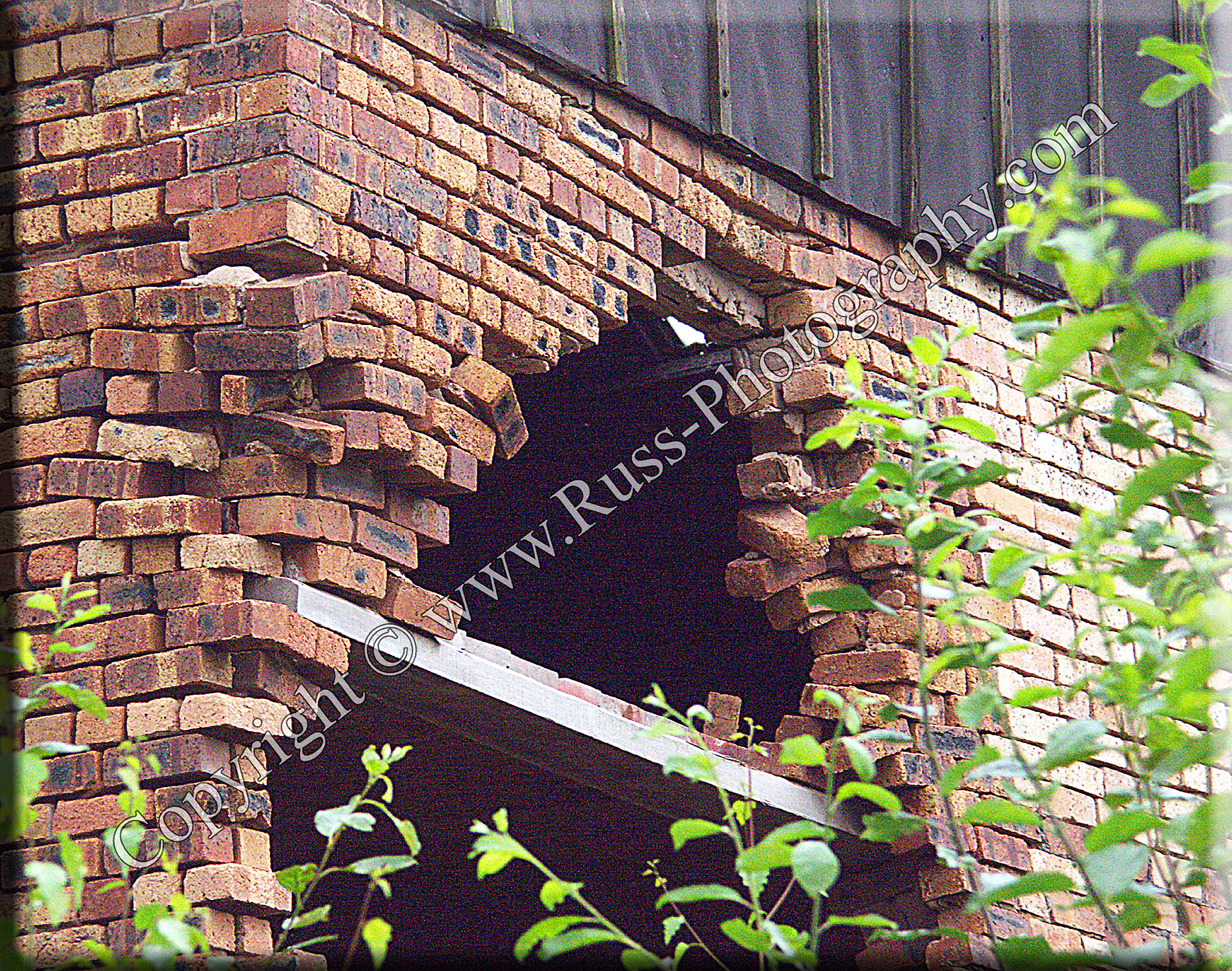Decorative Photography