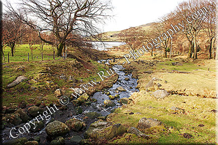 Moorland Stream