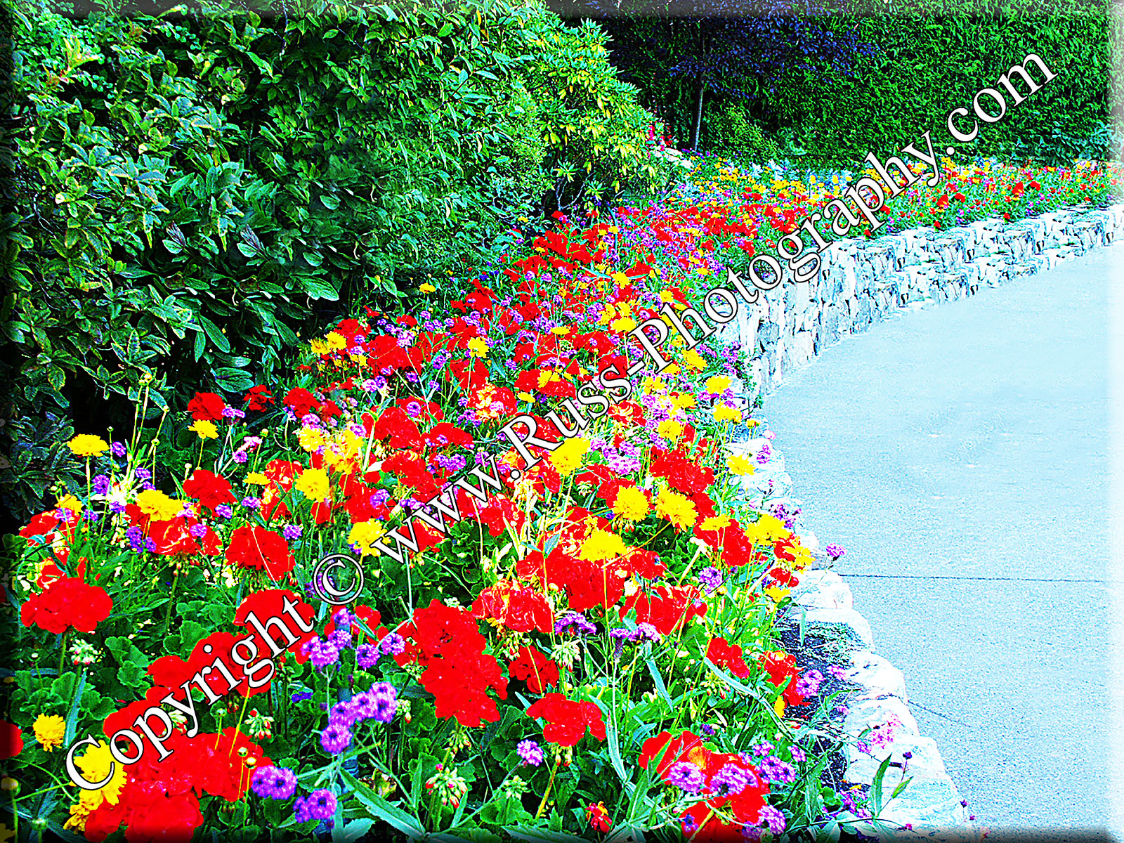Decorative Photography
