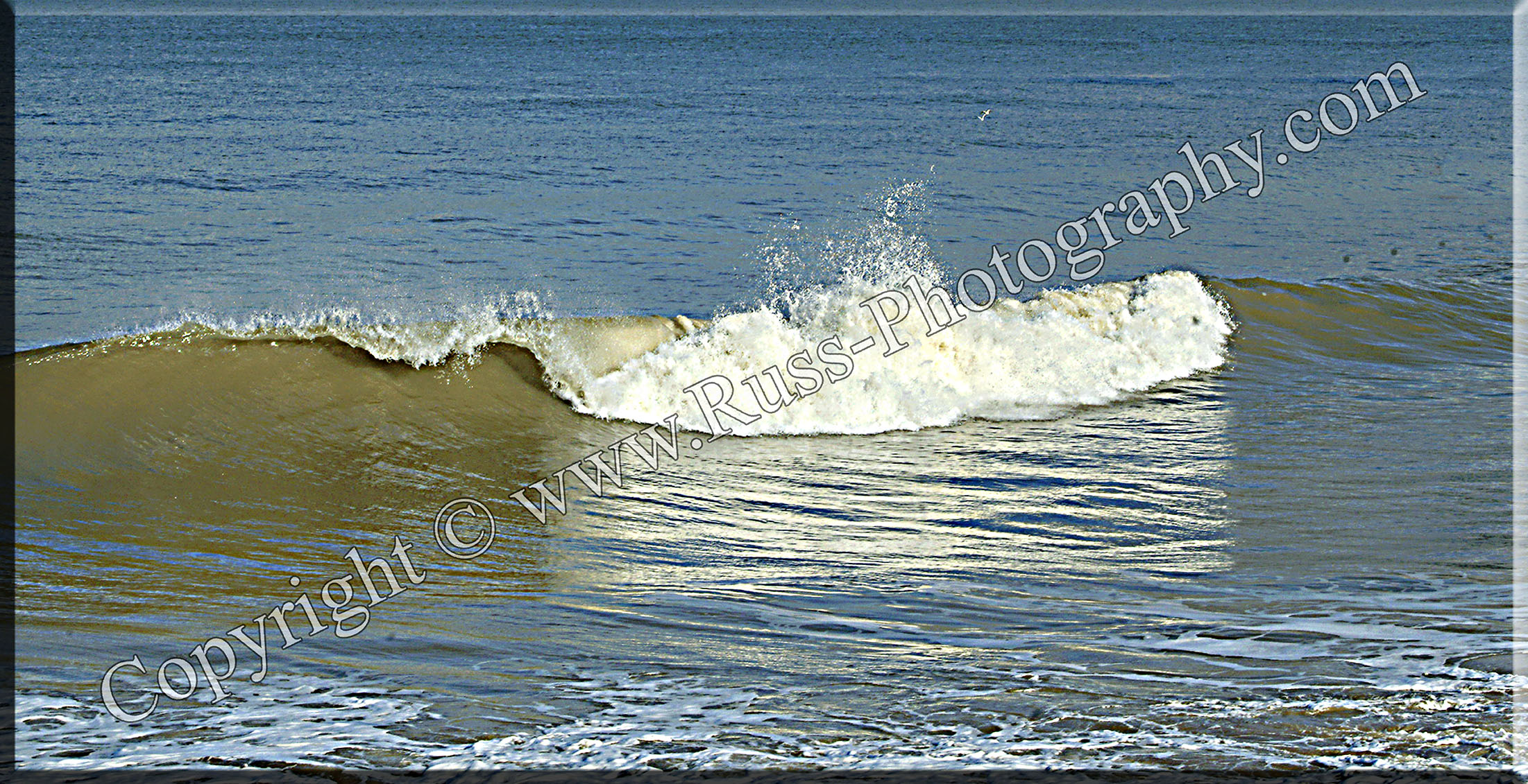 Decorative Photography