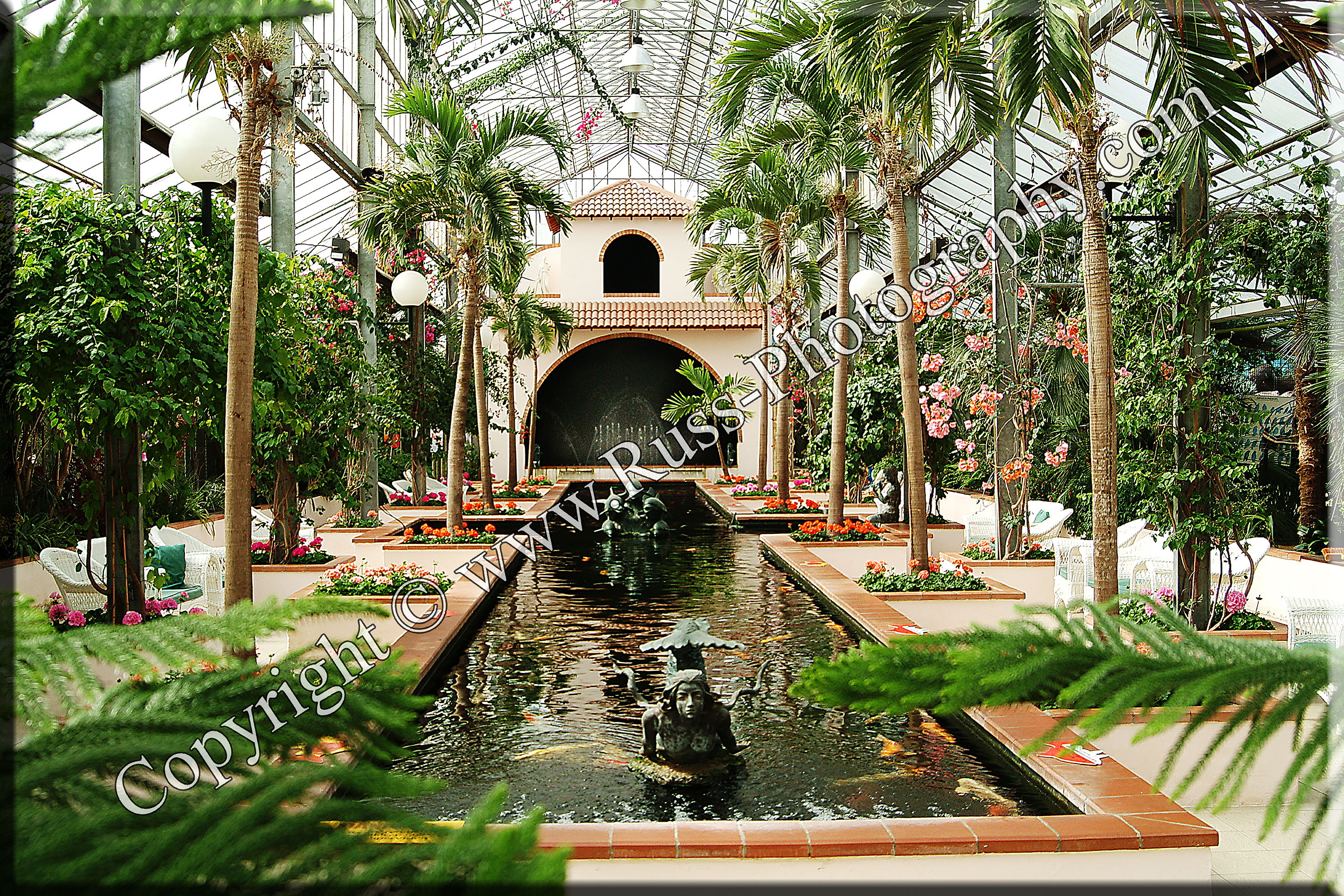 Decorative Photography