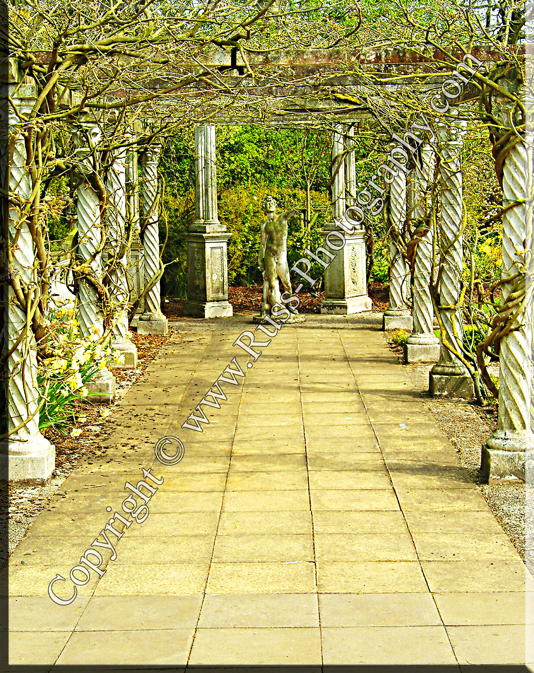Decorative Photography