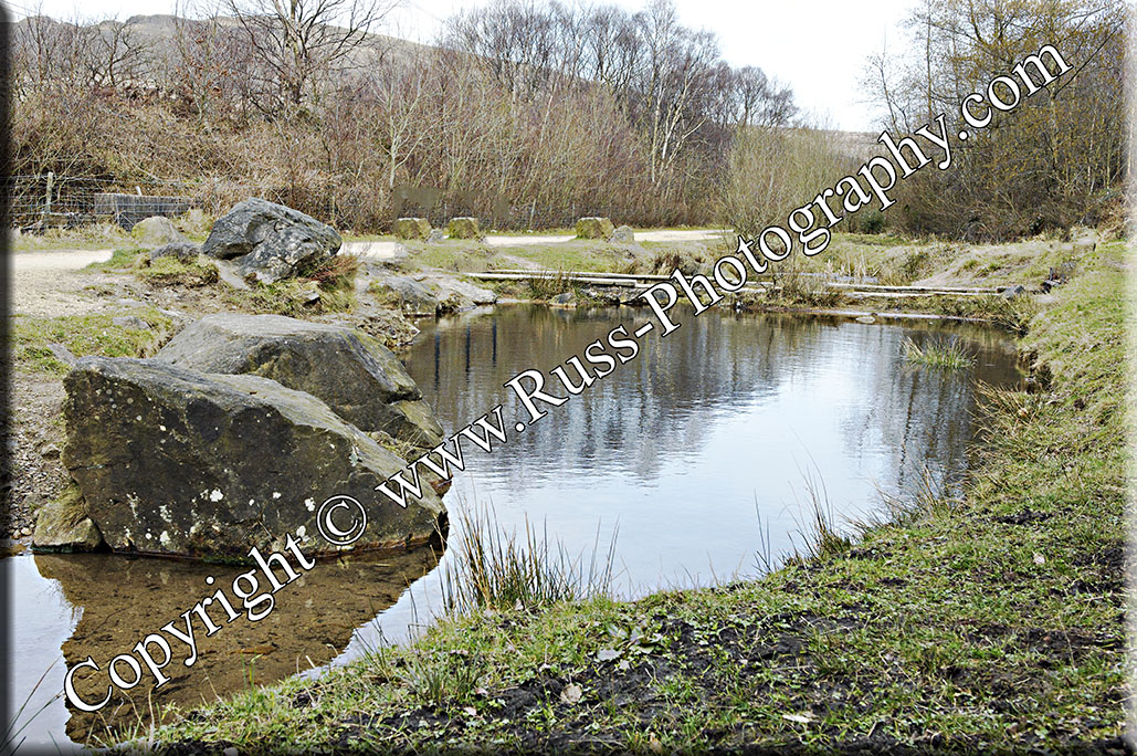 Decorative Photography